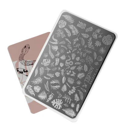Пластина для стемпінгу Trendy Nails Stamping Palette #2