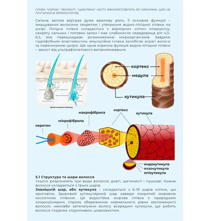 Зошит-методичка Brows Love Lami (електронна версія)