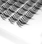 False Cluster Lashes WoBs Fairy Lashes 20D, thickness 0.07, length 10 mm, 200 pcs