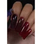 Гель-лак Trendy Nails Stellar Lights Gel Polish, Lyra, HEMA/TPO free, 8 мл