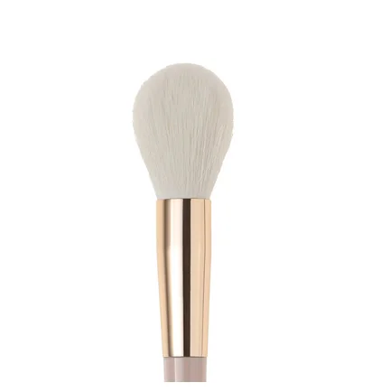 Highlighter and Powder Brush PROVG BM-4 