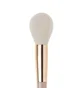 Highlighter and Powder Brush PROVG BM-4 