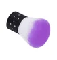 Nail Dust Brush