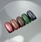 Гель-лак котяче око Nails Of The Day Korean Cat Eye #15, 10 мл