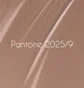 Гель-лак Nails Of The Day, Pantone 2025 #09, 10 мл