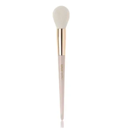 Highlighter and Powder Brush PROVG BM-4 