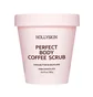 Скраб для тіла HollySkin Perfect Body Coffee Scrub Pink Chocolate, 300 г