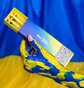 Набір пензлів для фарбування брів ZOLA Brow Brushes Ukrainian Edition