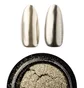 Металеве втирання Trendy Nails Chrome Pigment #01